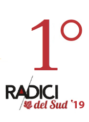 Contrada Sant'Aniello 2015