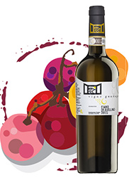 Greco di tufo