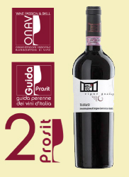 Taurasi DOCG 2013