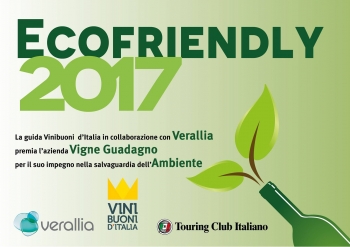 Diploma Ecofriendly ricevuto da Vini Buoni d'Italia in collaborazione con Verallia